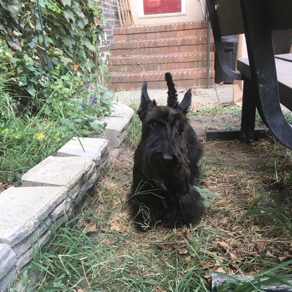 Meet your Posher, Robert - Picture 2 of 3